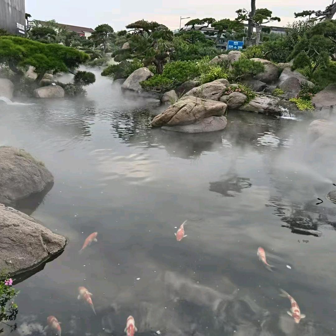 开心快乐每一天，