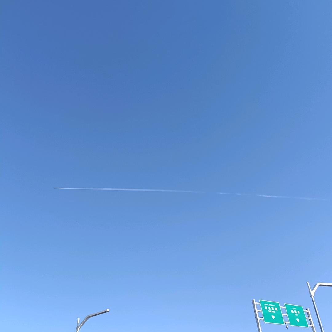 天天向上。