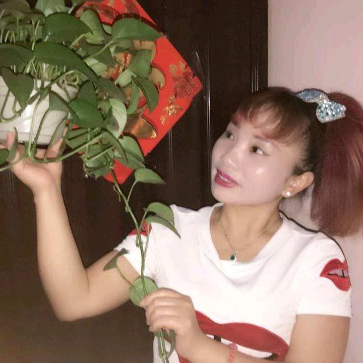 琉璃仙子