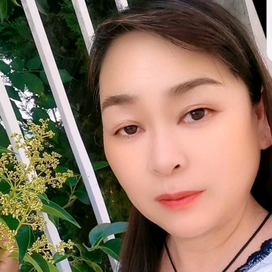 习惯了自己