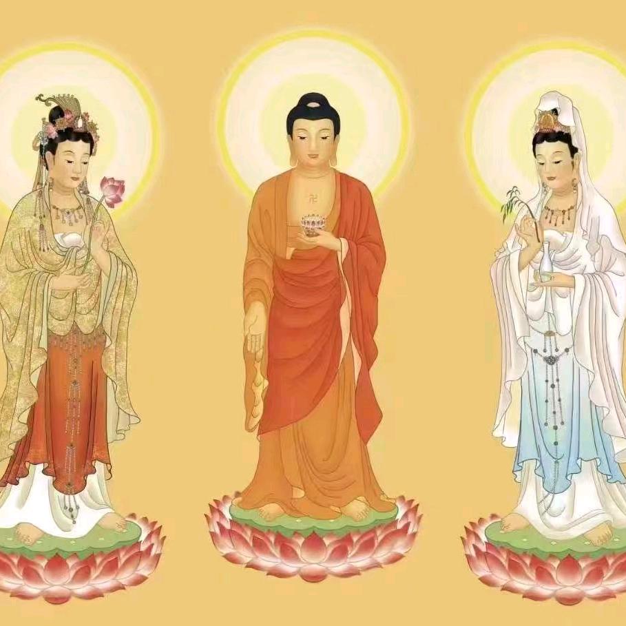 向善缘2