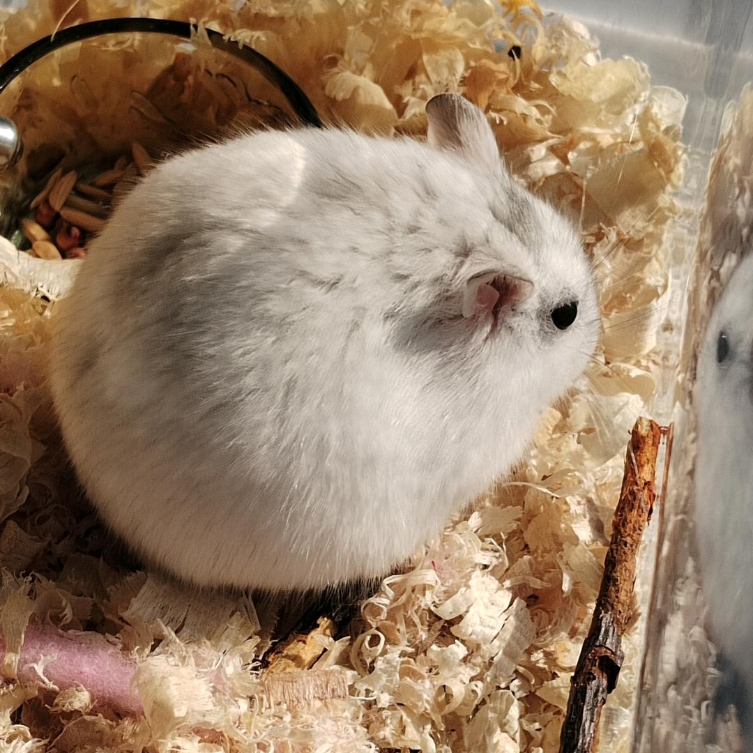 看太阳会打喷嚏