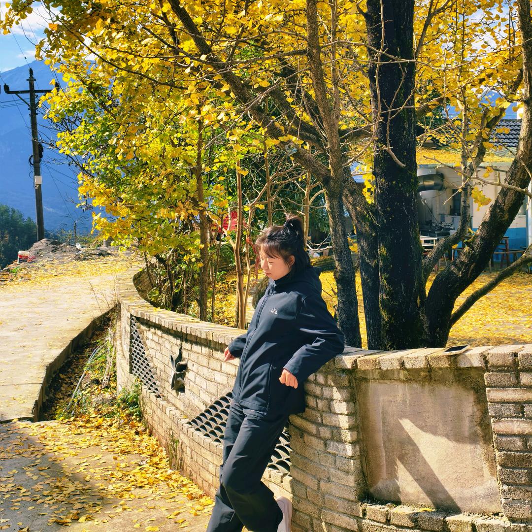 蛋黄（疯癫版）