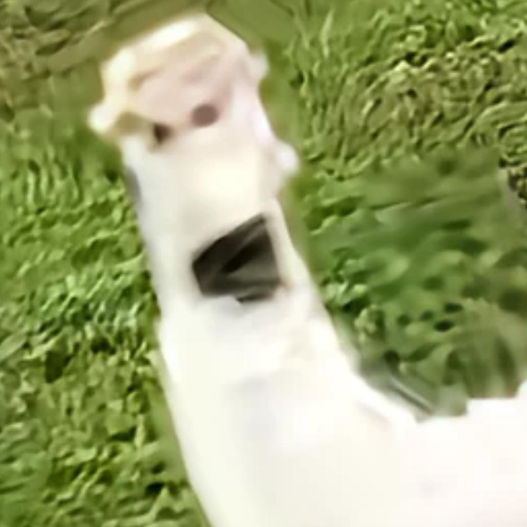 幸运小0