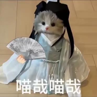 相逢已是上上签✨