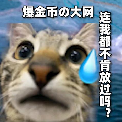 渡海洋殇
