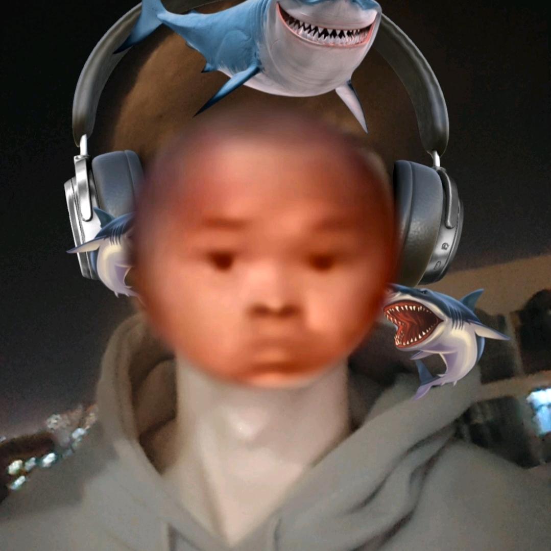 纸老虎