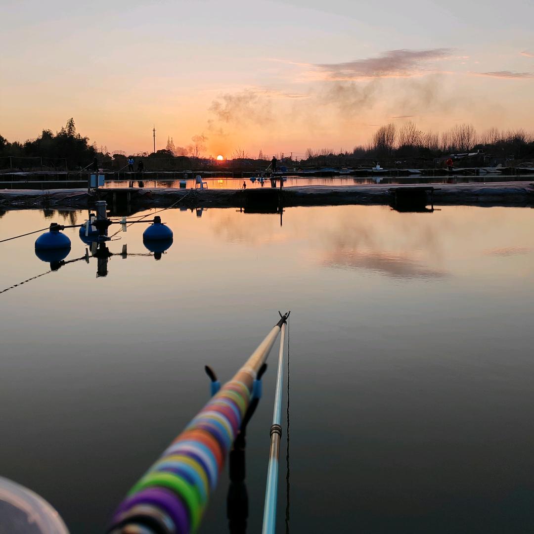 日常小步伐，招财又进宝！