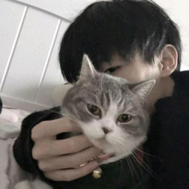 城府°