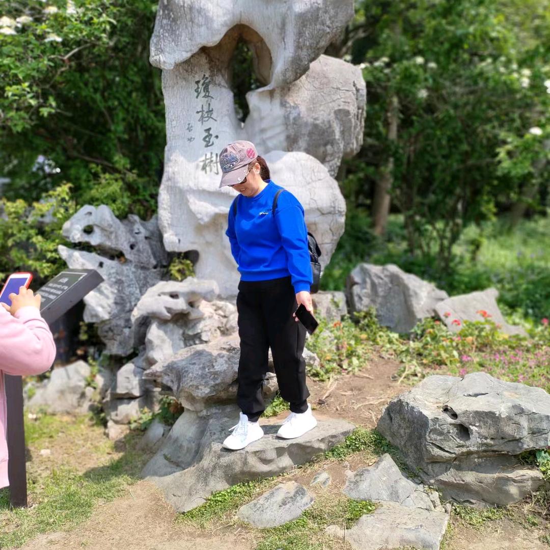 随遇而安