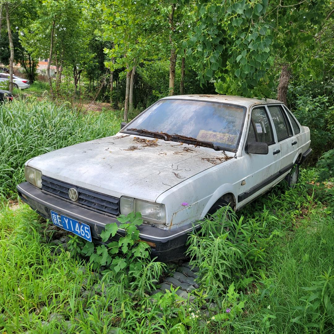 种完麦子往南走