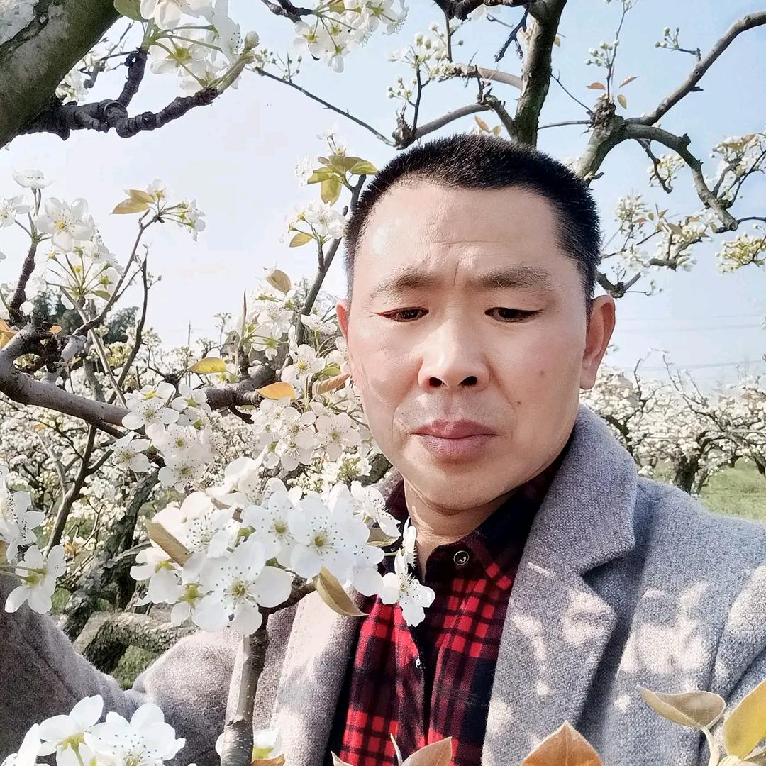 忠哥（高邮）
