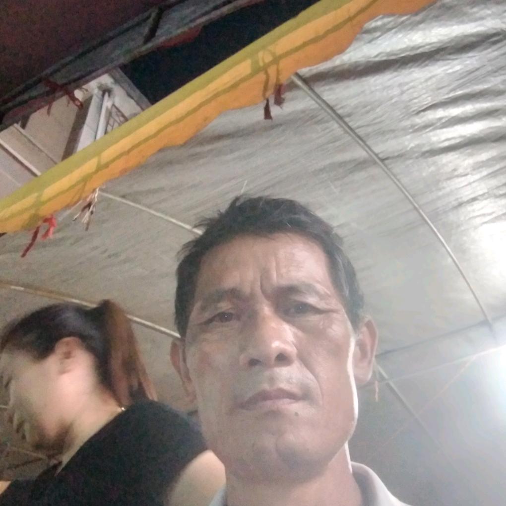 陈远林，浪漫满屋