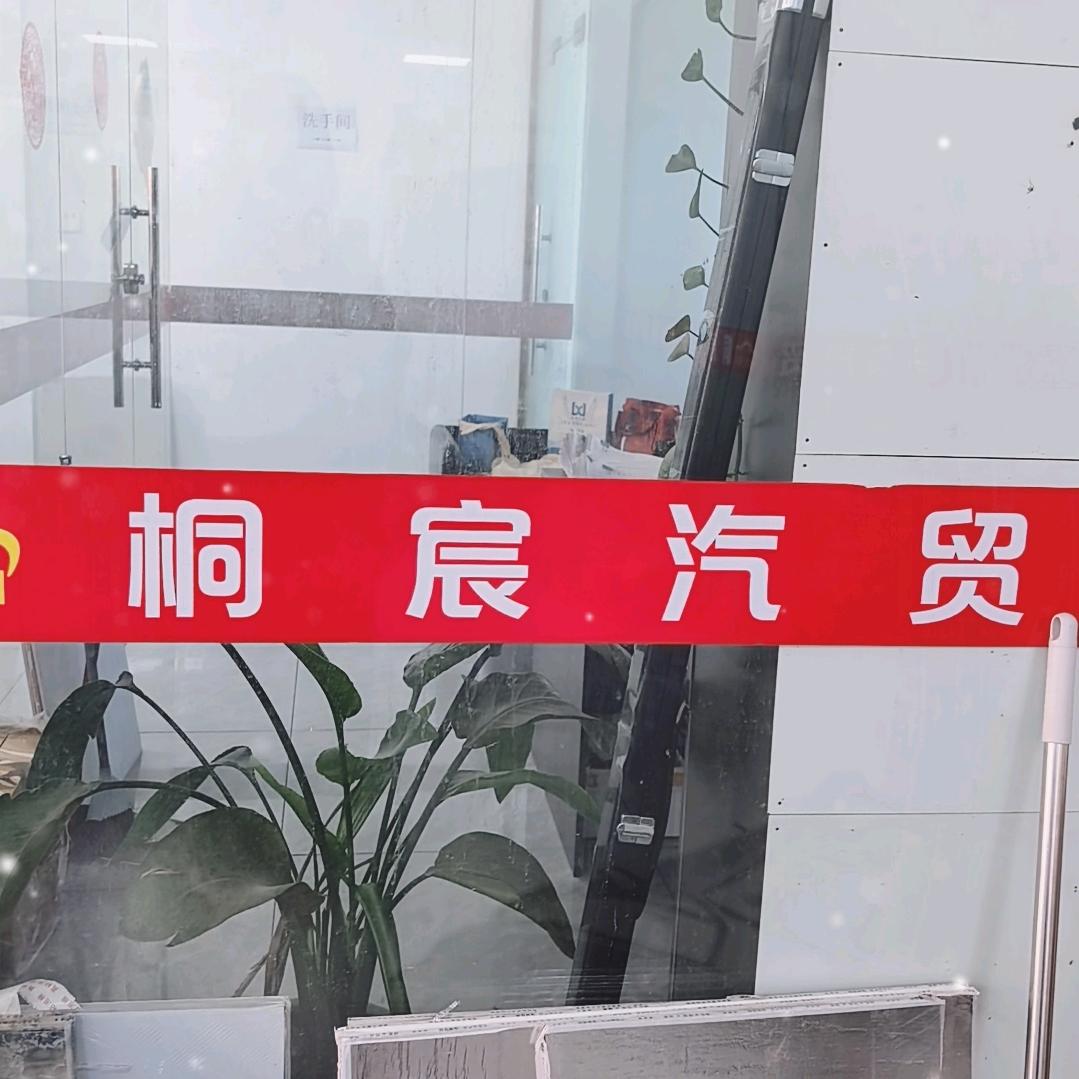 来安县桐宸汽车销售有限公司