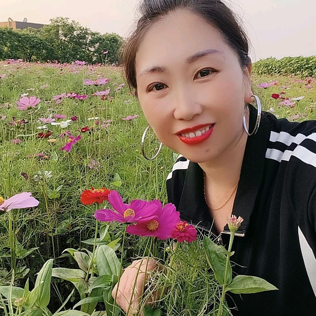 我放下所有一切往事，从头再来