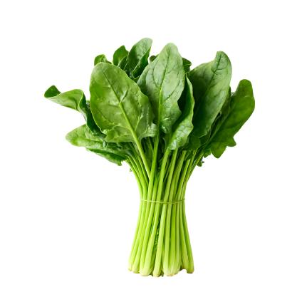 菠菜大王