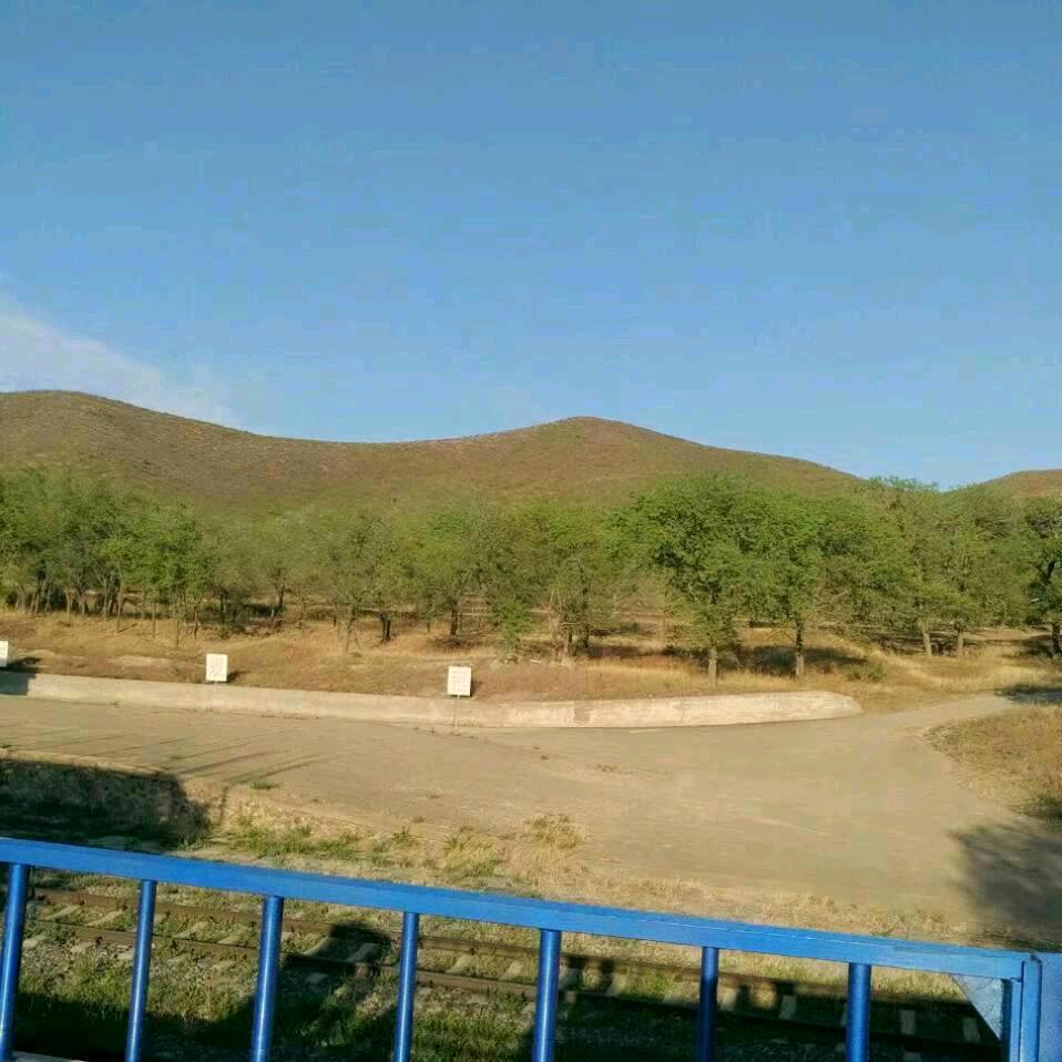 冰城（我爱我的孙子孙女）