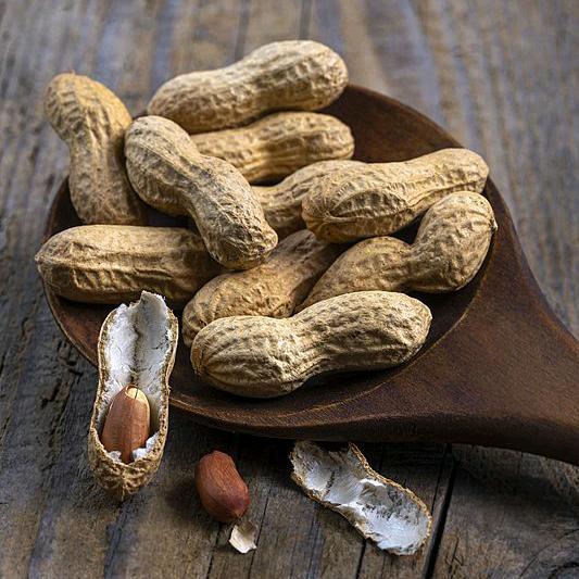 鑫瑞源百货商行