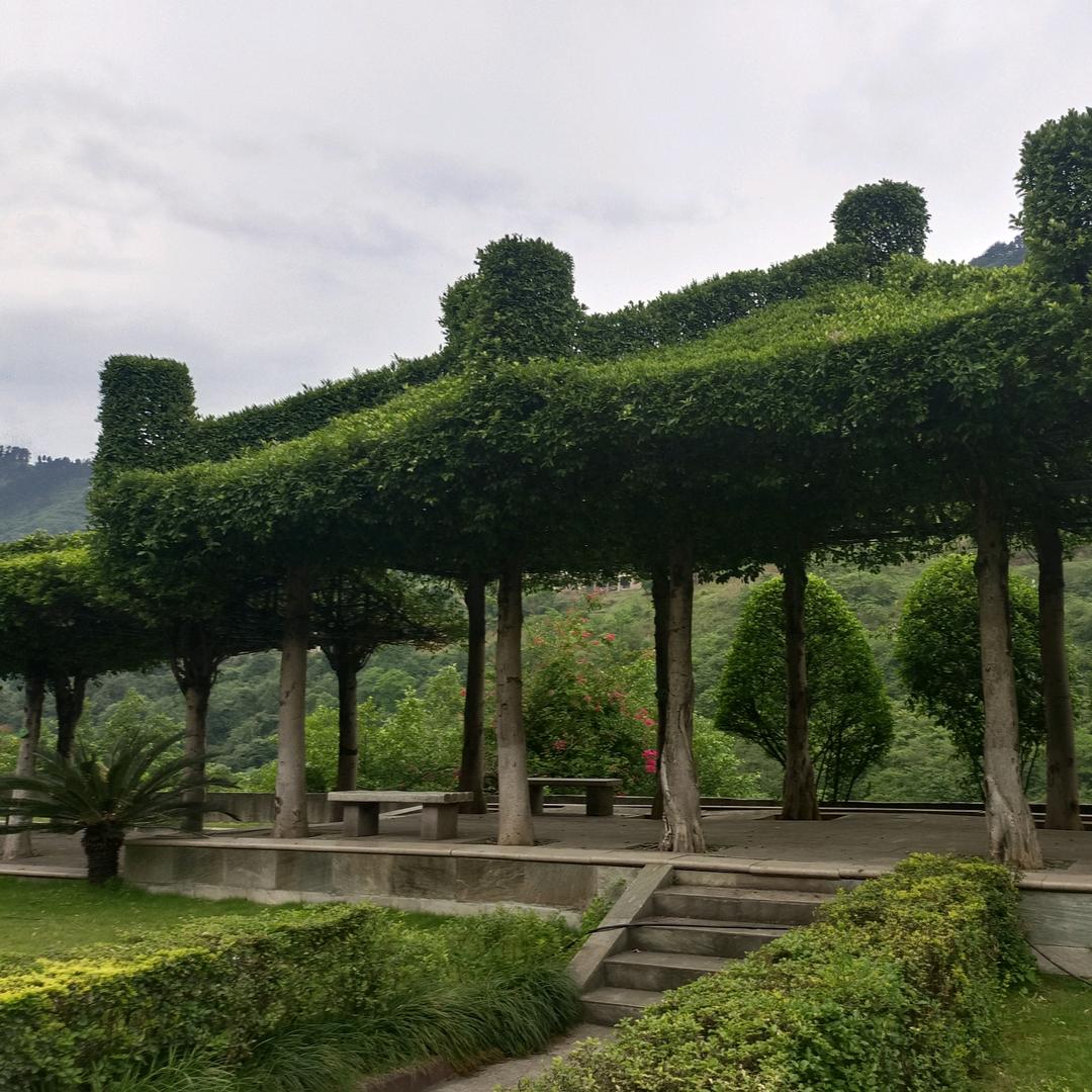 老孫