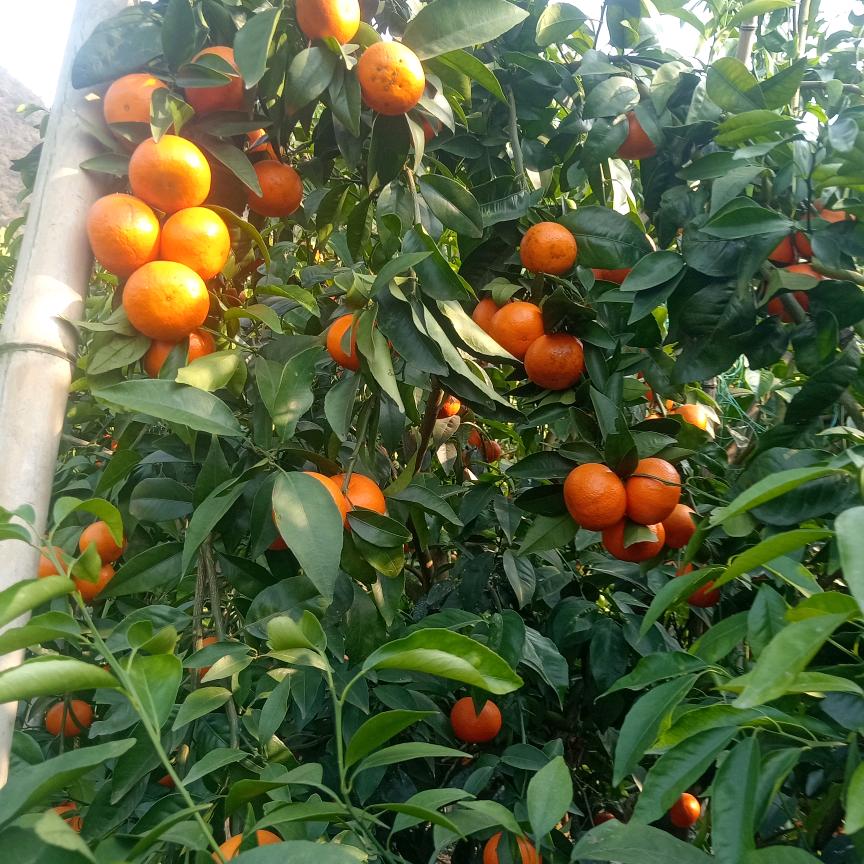 永远不离你身边！