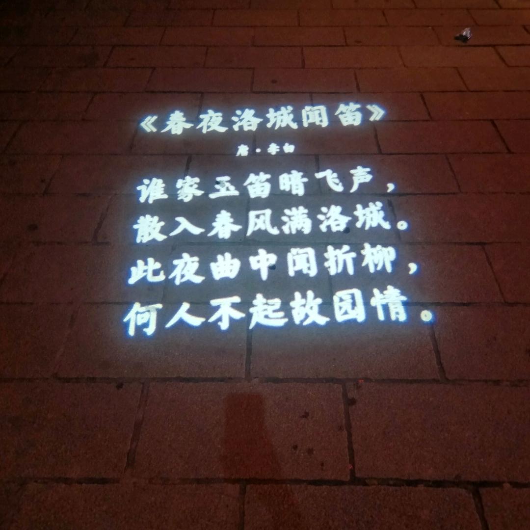籽