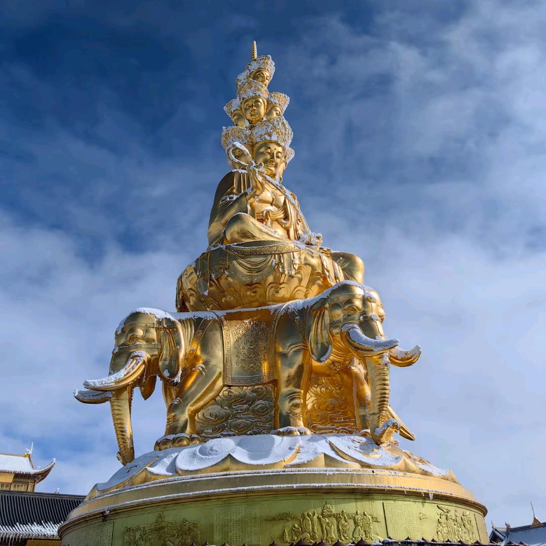 一生挚爱🌊🌈✈️