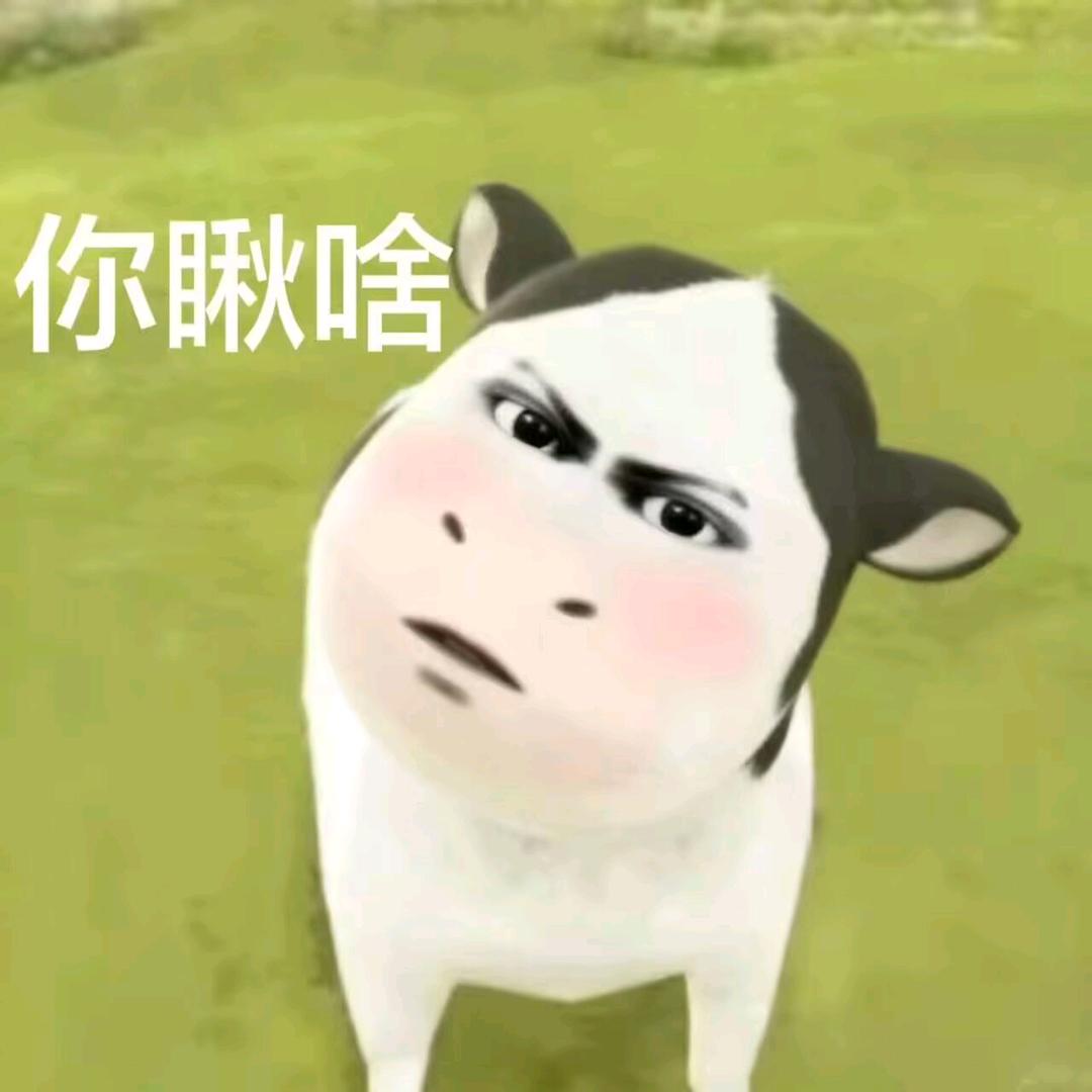 染月笺
