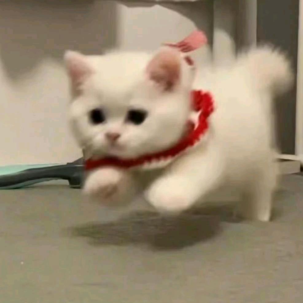 星河