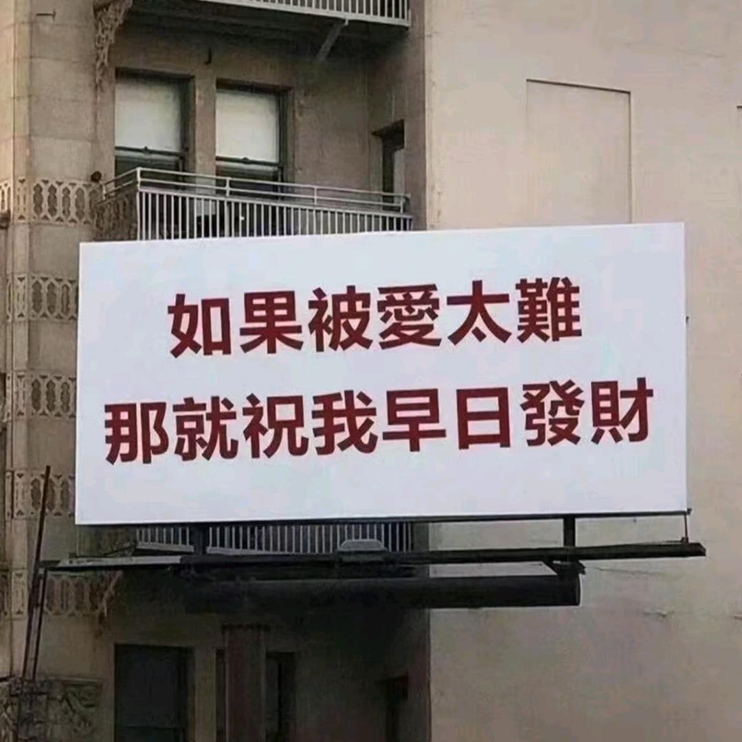 孤独的猪（单身）
