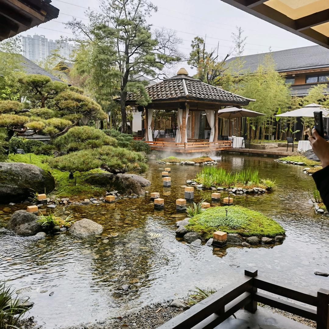 青年小海哥