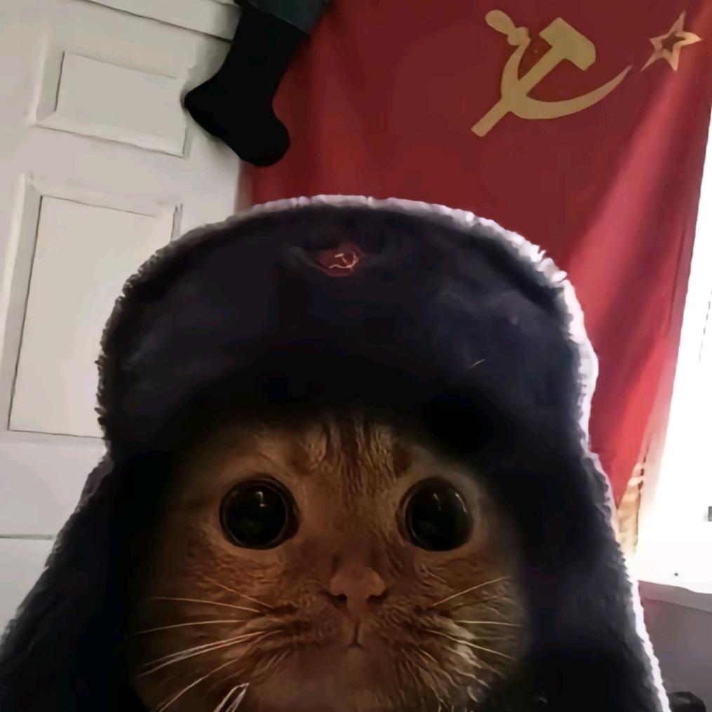 🌈莫道桑榆晚🌈