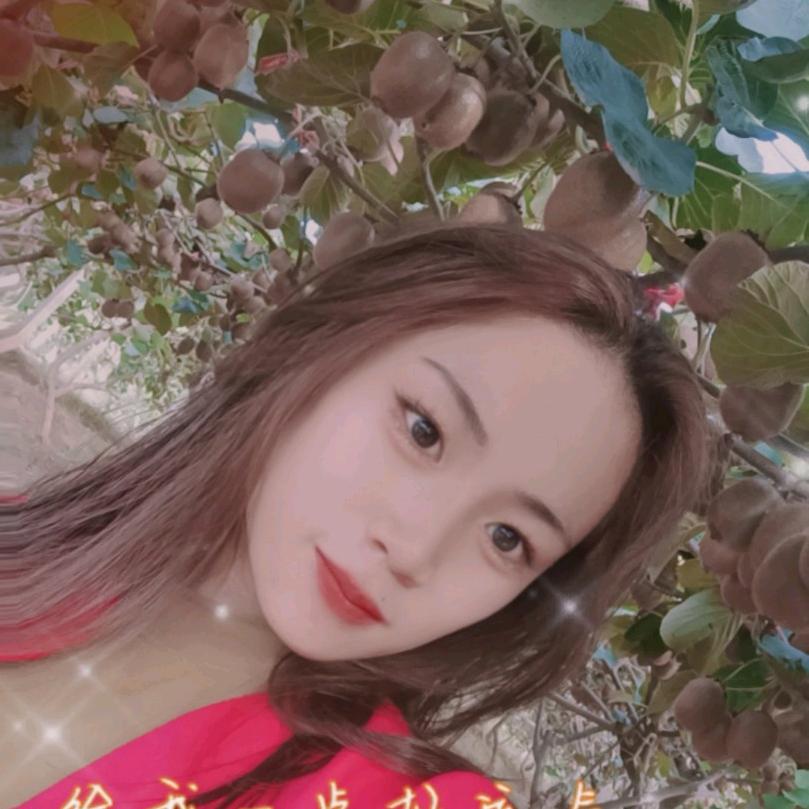陕西小陈