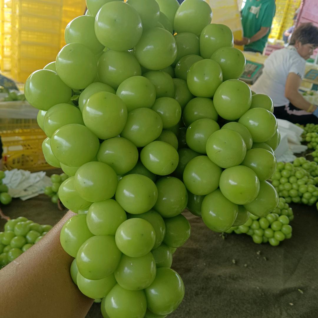 小垚