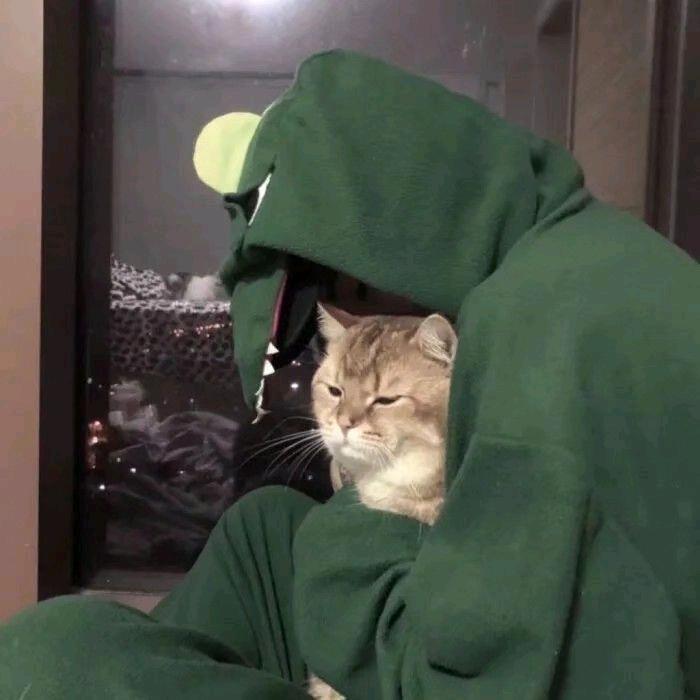 柒两