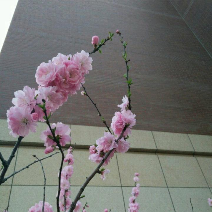 天天开心😀