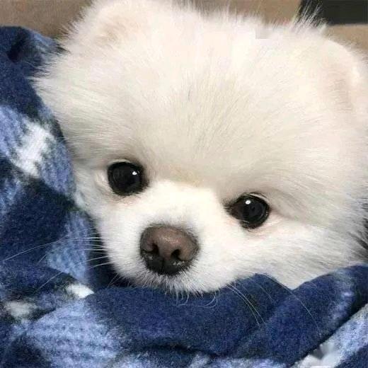 技艺