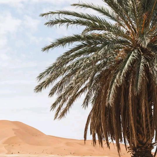 美好人生4266455105859