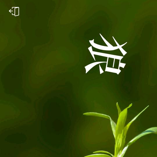 风狼