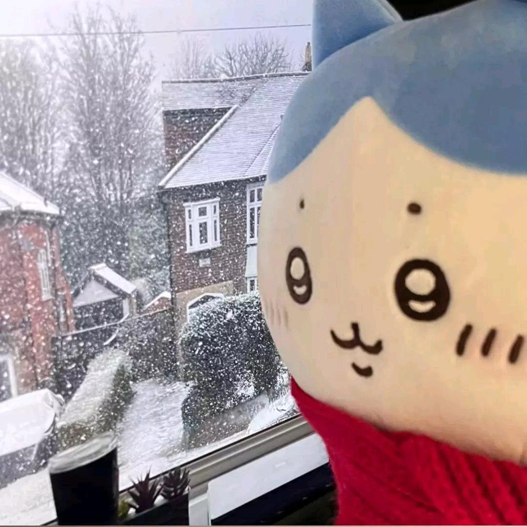 叶