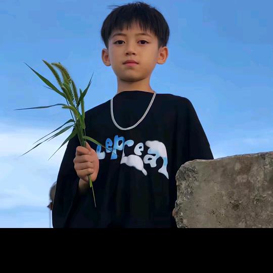 书生