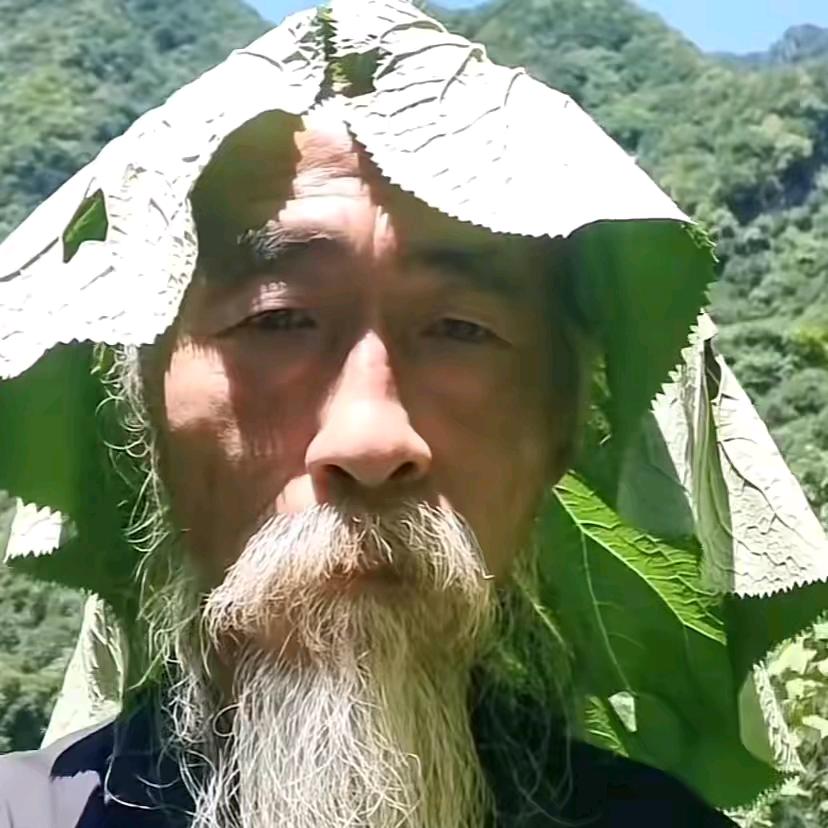 忽觉一生浮梦