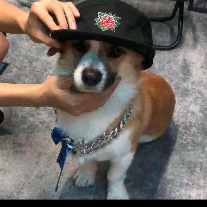 米兰兰i