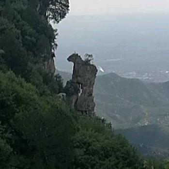 卓尔幸福🎻