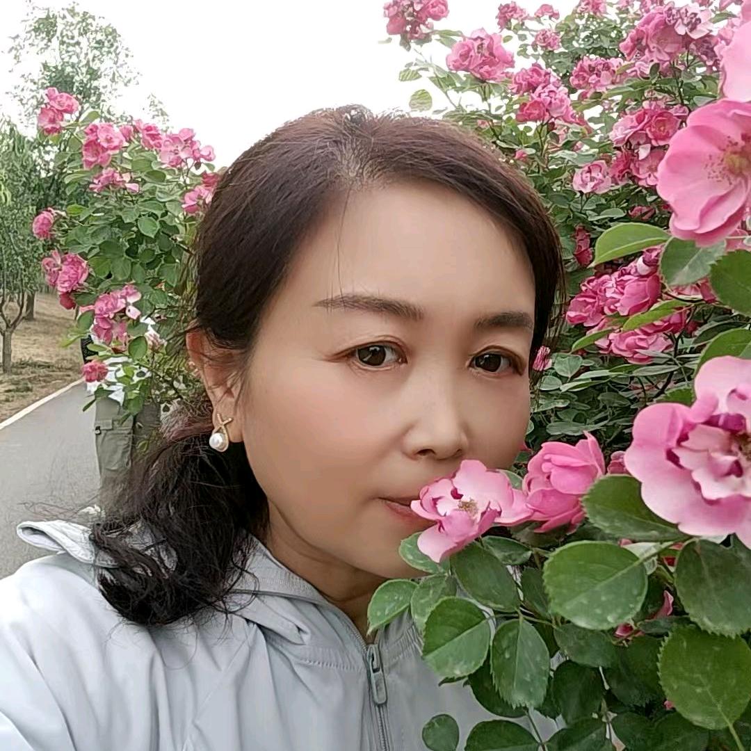 盈姐