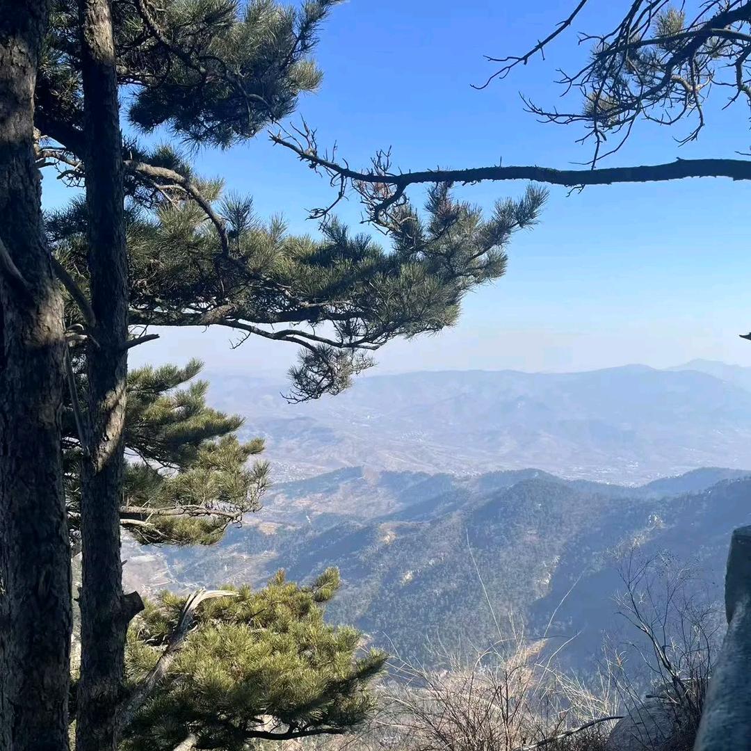 大集人间烟火