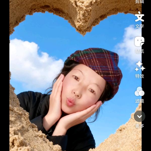 藏家姑娘。
