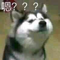 手残玩家