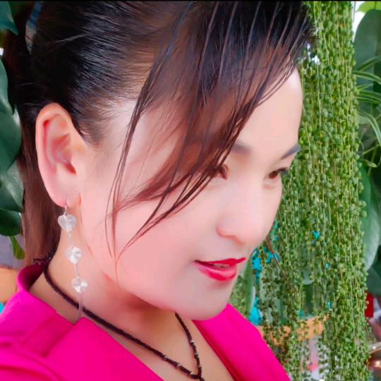 小杨兰