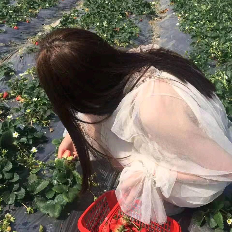 扎个小丸子叭