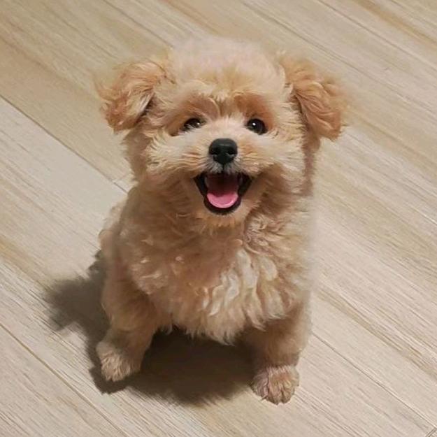 卡扣卡樂